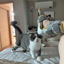 더편한정형외과의원 이미지