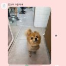 몽크의 아뜰리에 네이버블로그