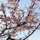 시골소쿠리 이미지