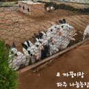 까꿍이랑/ 23개월 아기/파주 나눔 농장 /파주 동물체험 /파주 실내 체험