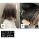 뭉치네 미용실 | 청주 시내 성안길 매직 미용실 추천 [슈룹헤어] 내돈내산 대만족 후기✨✨