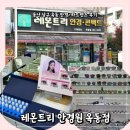 기분좋은안경원 | 울산 남구 옥동 안경/하드렌즈 추천 하드렌즈 구입 후기 : 레몬트리 안경원 옥동점