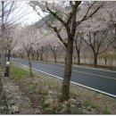 길벗식당 이미지