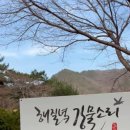 무릉도원면-42 이미지