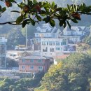 향일경로당 네이버블로그