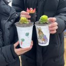 냅킨 아트 화분 만들기 이미지