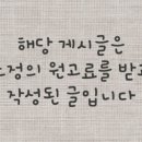 강남 요미독앤캣 강아지 분양 고양이 분양 이미지