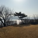 늘푸른호숫가