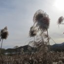 부곡수변공원 이미지