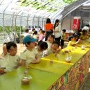 농은목장 이미지