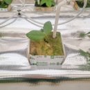 예송 농장 이미지