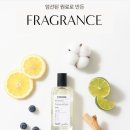 에이프릴코튼 | 더블유드레스룸 97 에이프릴코튼 후기｜향 좋은 퍼퓸 탈취제 추천