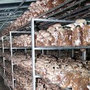 아름다운밀양농장 이미지