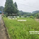 홍성/ 2차선접.체류형쉼터 104평 2700만 이미지