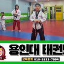 용인대 멘토 태권도장 이미지