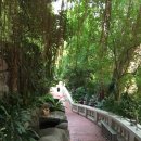 황금언덕 이미지