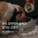 24시웰니스동물의료센터