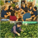 촌부의 단상-아따야! 세월 참말로 빠리네? 이미지