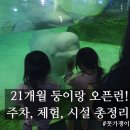 주차21 | 롯데월드 아쿠아리움 주차｜21개월 쌍둥이 오픈런 솔직 후기 (벨루가 찐텐 후기)