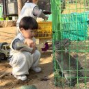 안델센어린이집 | 남양주 아이랑 갈만한곳 동물먹이주기 체험농장 | 안데르센 정원