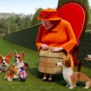 프린스 코기 이미지