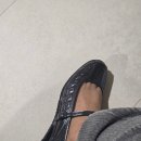 5519 | 나이키 샥스 Z 칼리스트라 x NAKED(네이키드) 코펜하겐 IR5519-001