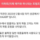 공 지 _ 2023년 6월 20일 오후 20초 일반 상식만 있어도 깨달음 이미지