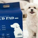 오드(AUD) 이미지