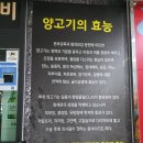 나성동_메가타워1건너편 | [세종 나성] 한성양꼬치에서 나성동 숙성 양꼬치&amp;양갈비살양꼬치 먹고 온 솔직 리뷰 후기