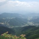 백전농장 이미지