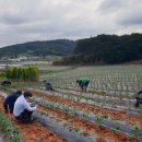 재난안전과 이미지