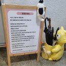 고양이라서 행복해 | 아이랑 광명 &#39;고양이라서행복해&#39; 고양이카페 방문기