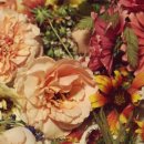 스프링플라워 이미지