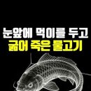 파이크 증후군(Pike Syndrome) 이미지