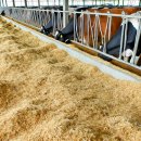 미래왕겨 이미지