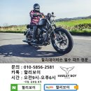 [할리보이] 울트라 시트(탠덤), 앵그리 베젤, LED 오스람 헤드라이트, 안개등, 하이웨이페그마운트,다이나 엔진열커버 - 할리부품 만물상, 필요한거 문의가 이미지