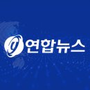 엠케이엔제이 Daum카페
