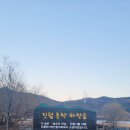 진월 돈탁마을 숲 이미지