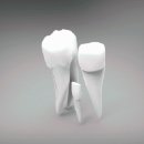 서울금플란트치과의원 이미지