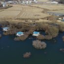 수원-0005 이미지