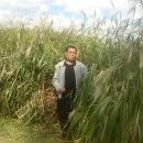 순천만의 추억 이미지