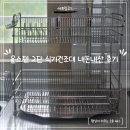 제이리빙 | 식기건조대 추천 리빙제이 올스텐 304 2단 내돈내산 사용 후기