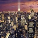 앨리(ALLEY) 이미지