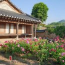 의성사촌리류한식 고택 | 의성 점곡면 사촌마을의 &#39;자계고택&#39;에 대한 정보