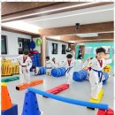 행복한태권도 이미지