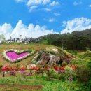 아침이슬농장 이미지