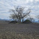 와흘메밀마을 이미지