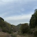 청풍민박