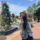 블랑제니 | 소프트 퍼프티, 꼬숑 드림 원피스, 아기 제니 선글라스, 마망블랑 26ss, 슈슈앤크라 리떼 가디건 6y, 왓...