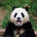 행복편의점 이미지